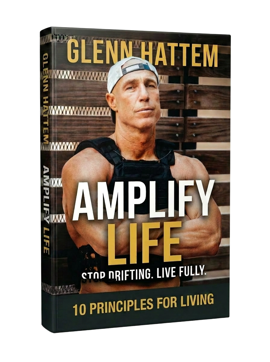 Amplify Life book 3D cover