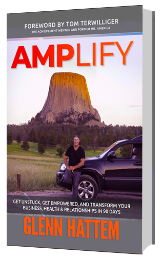 Amplify book cover